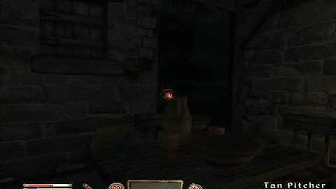 Oblivion Camera Blackout glitch