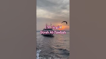 سورة التوبة Surah At-Tawbah | قران كريم| #المصحف #اكسبلور #الشيخ #القزابري