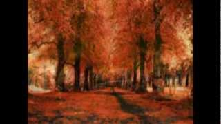 ***** Dünya Yansa Yorganim Yok *****