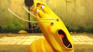 larva spaghetti cartoon movie cartoons for children larva cartoon larva official