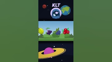 What Kinds Of Berries Grow In Bushes! | KLT #shorts