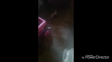 Leah gets ungrounded