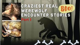 TRUE WEREWOLF Stories ❗ 2 HOURS WORTH ❗ #werewolf #stories