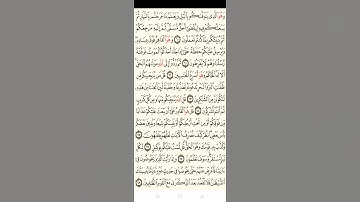 سورة الأنعام من الايه 36 إلى الايه 68🌹🌹لا تهجرو القرآن🌹🌹 🌿 للقراءه فقط 🌿