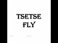 Tsetse fly Lec. 5