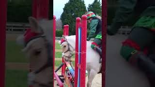 Lola Didnt Deserve To Ride Him