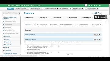 Customising and Completing the Audit Program