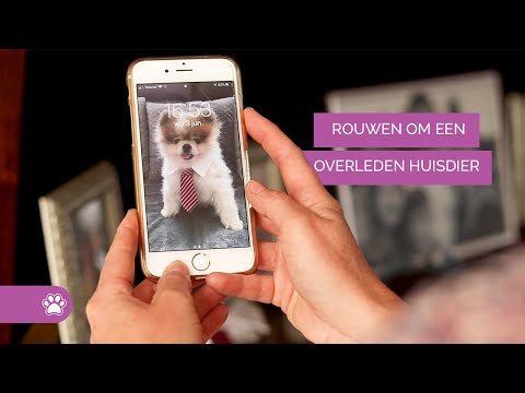 Video: 5 Tips Voor Plezier In Bad Met Uw Huisdieren