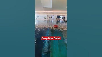 Deep Dive Dubai #shorts #deepdivedubai