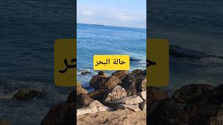 حالة البحر #fishing #بحر #صيد #beach #البحر #اكسبلور #fish #fishinglife