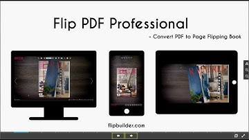Introduction of Flip PDF Professional[flipbuilder.com]