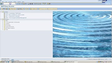 SAP Netting|| Netting Vendor and Customer balances and clearing|| Part 1||