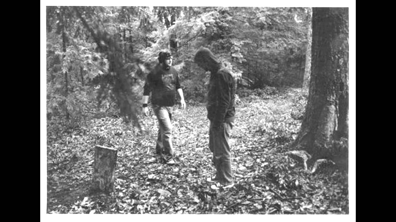 Have a Nice Life - Numbers