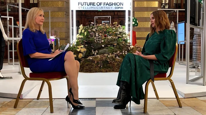 Stella McCartney calls for ban on leather & tax breaks for vegan goods