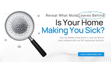 Is Your Home Making You Sick? Try Our DIY Mycotoxin Test Kits Today