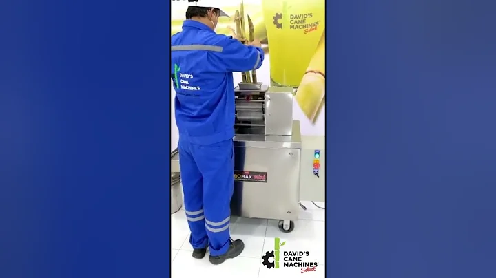 NEWEST 2023 5HP High Food Grade Top Loading Sugarcane Juicer Mill | TuboMax Mini