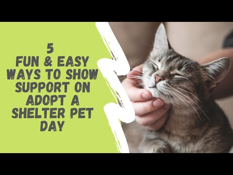 Video: Il 30 aprile è il National Adopt a Shelter Pet Day