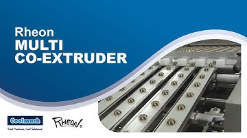 Rheon   Multi Co Extruder 02