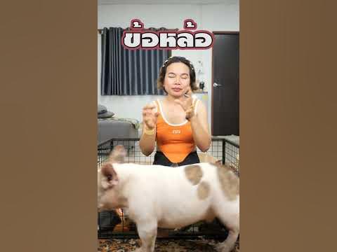 ข้อหล้อแปลว่าอะไร - YouTube ข้อหล้อแปลว่าอะไร - Youtube