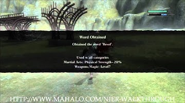 Nier Walkthrough - Chapter 18: The End of the Aerie 1/4