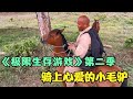 《极限生存游戏》第二季07，挑战尼加拉瓜荒岛，骑上心爱的小毛驴狂奔