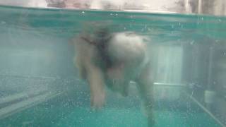 20100211-6.AVI
