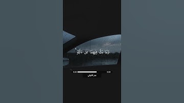 قرآن كريم - سورة الشورى 28-29 | بدر التركي