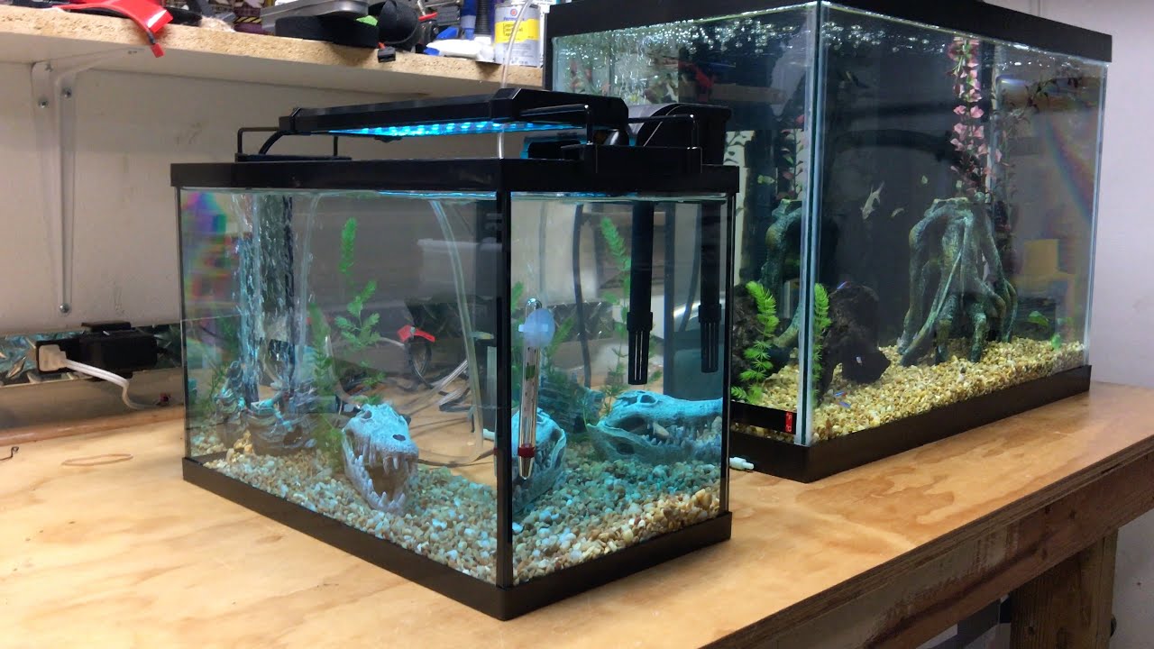 I've been wanting to get a LED light for my 5 gallon aquarium, but did...