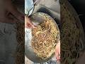 Thele wali CHOWMEIN 🍜❣️🍜 #shorts #chowmein #noodles #noodle #chowmeinrecipe #noodlesrecipe
