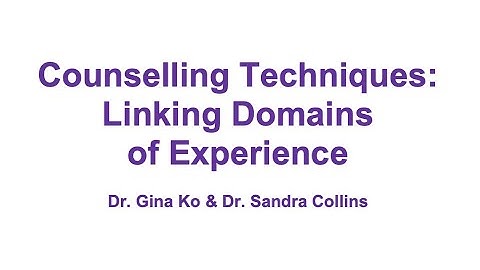 Counselling Techniques: Linking Domains of Experience