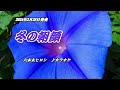 【冬の朝顔】六本木ヒロシ カラオケ 2024年2月28日発売