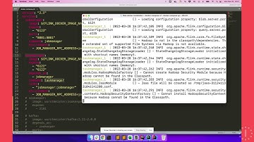 02 Installing Flink with Docker, course Stream processing in Apache Flink for AAL