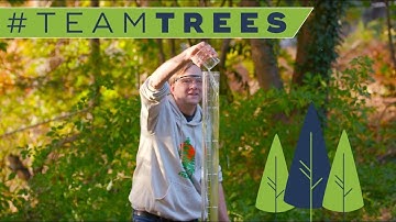 Making a foamy Chemis-Tree for #TeamTrees!