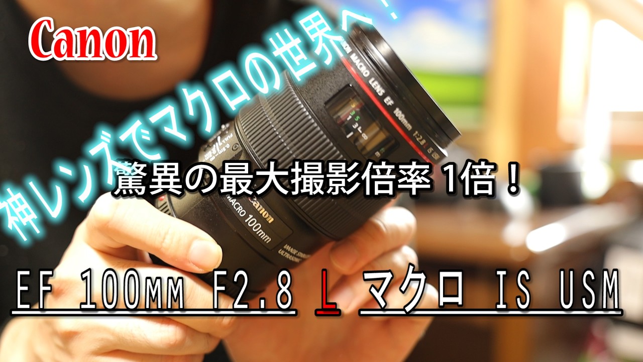 Lens Review!] High-Quality Macro Lens! Canon EF100mm F2.8 L Macro