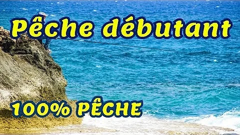 Où a T-ON le droit de pêcher en mer ?