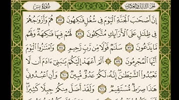 القارئ محمد النقيب سورة يس كاملة محمد النقيب