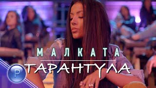 MALKATA - TARANTULA / Малката - Тарантула, 2020 chords