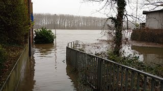 BONN MONDORFER FÄHRE / BORNHEIM HERSEL 🌊 RHEIN HOCHWASSER 750 cm ⚠️ JAHRESREKORD ⚠️