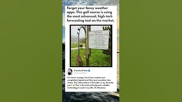 This Low-Tech Weather Forecaster is 100% Accurate