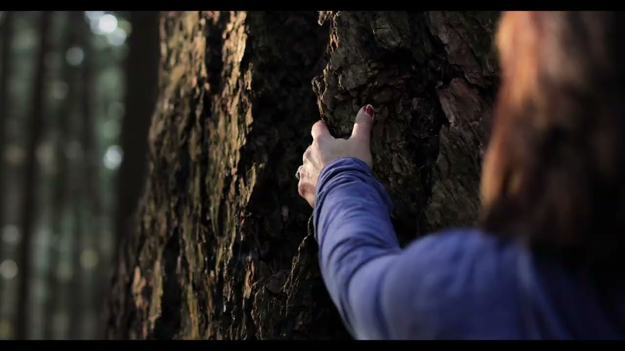 youtube-video-thumbnail