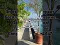 Jobincyprus.net -переходи на сайт , менеджер свяжется в удобном для вас мессенджере💌#работанакипре
