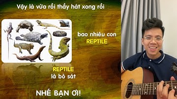 Nhớ ngay tên Tiếng Anh các loài BÒ SÁT chỉ TRONG 1 BÀI HÁT | Thầy giáo 9x Nguyễn Thái Dương