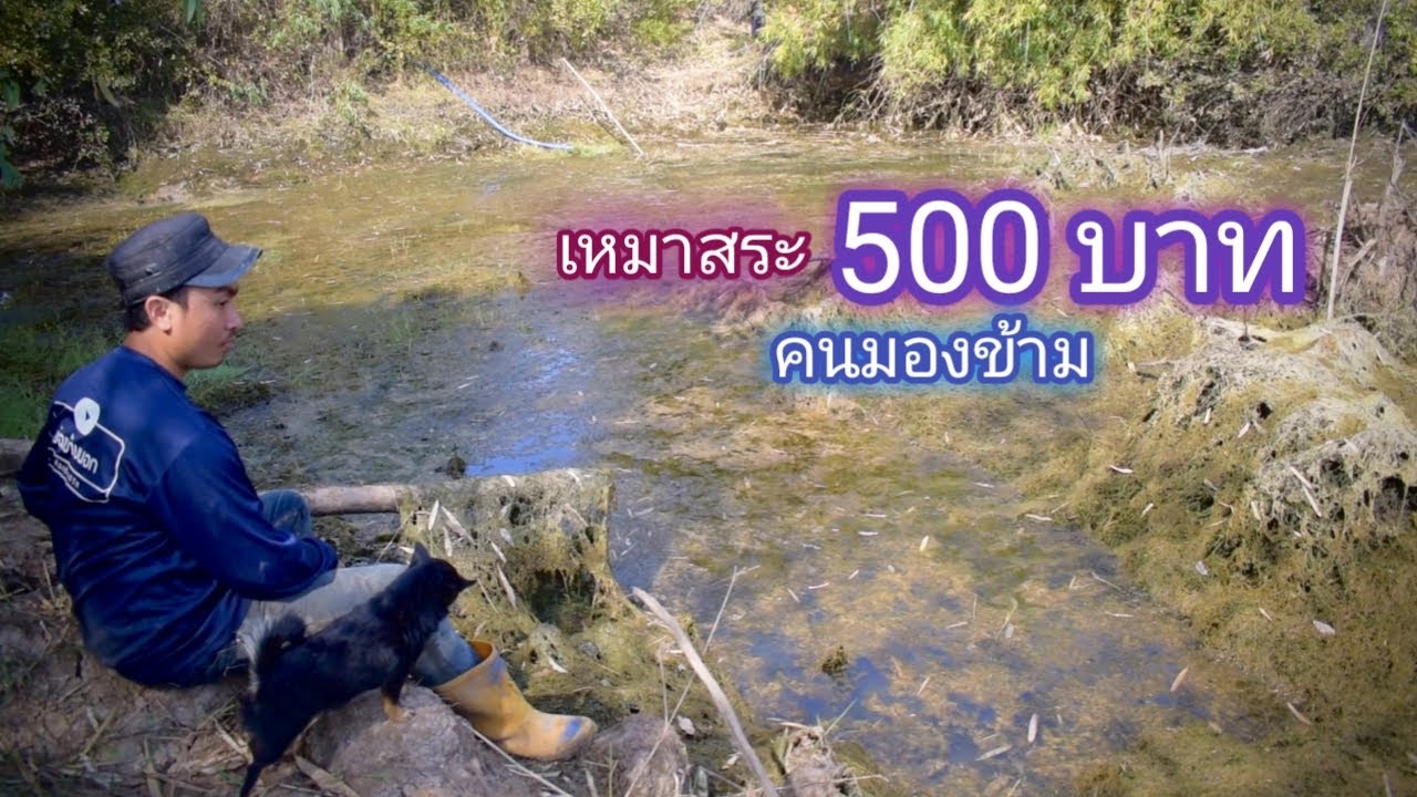 เหมาสระ 500 บาท สระที่โดนขุดดินมาถมไปครึ่งสระ คนอื่นๆเลยมองข้าม (เหมาสระ ปี 1) / บ้านนอก EP.273