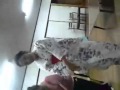Yacchikure OndoMaster Shiga-kuni Tenju