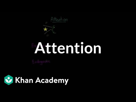 Video: Hvad er opmærksomhedens hovedfunktion?