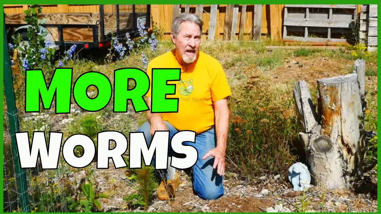 How To Attract Earthworms The