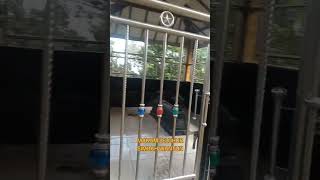 MAKAM SIMBAH WANTUN LERWNG UNGARAN#shorts#short