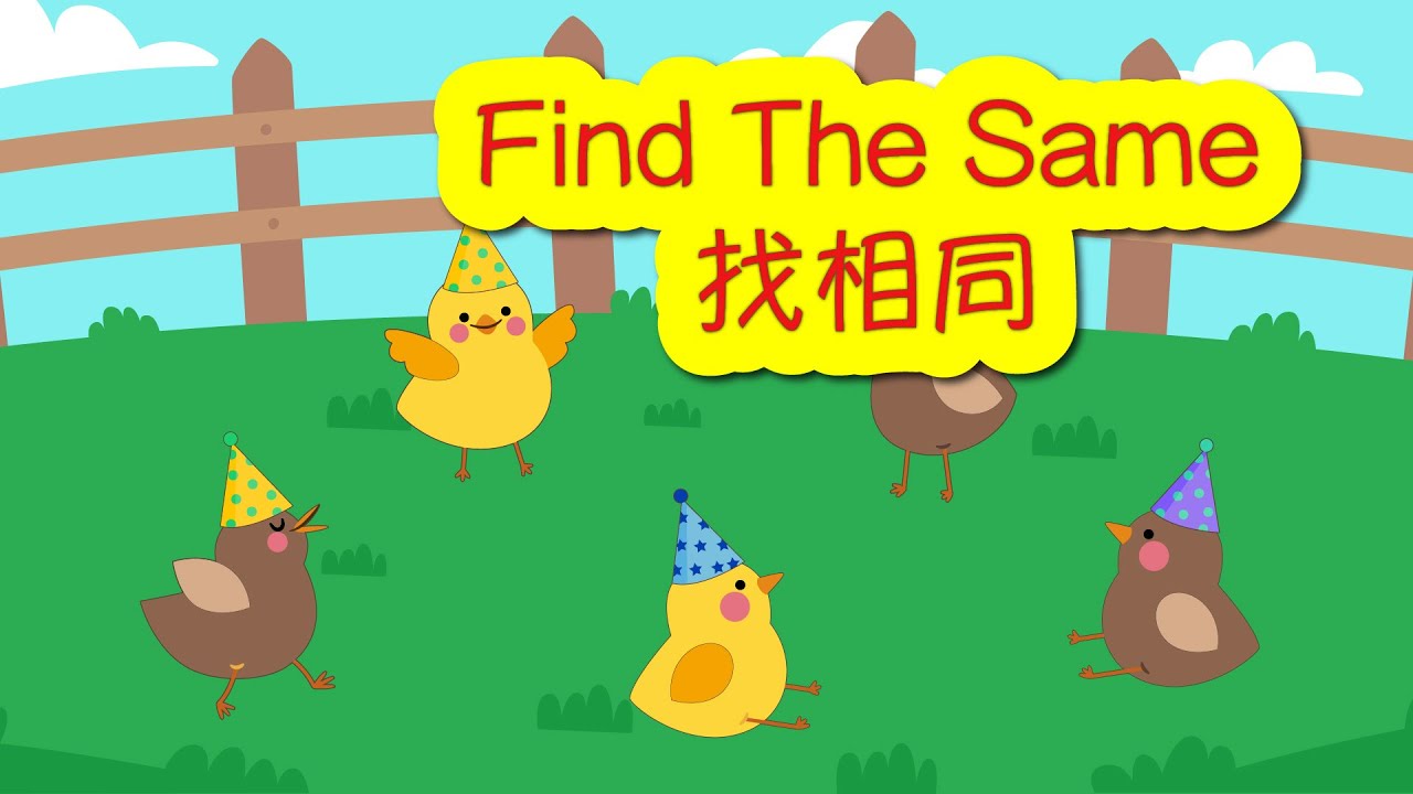【找相同 #14 找到兩隻戴著相同帽子的小雞】訓練記憶和提升專注力、觀察力 - YouTube
