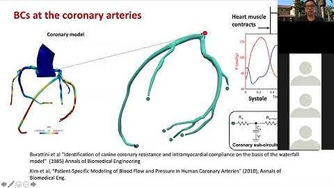 SimVascular Tutorial 9: Coronary boundary condition