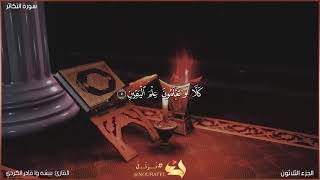 سورة التكاثر كاملة مكتوبة بصوت القارئ "بيشه وا قادر الكردي: